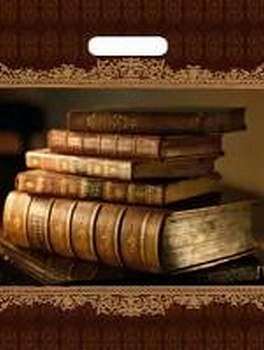 Пакет пробивной 31*40см (60мкм) "Книги New"