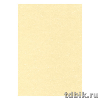 Бумага для дизайнерских работ DECAdry А4 165г/м тиснение пергамент 15 л/уп, шампань