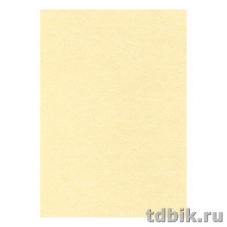 Бумага для дизайнерских работ DECAdry А4 165г/м тиснение пергамент 15 л/уп, шампань