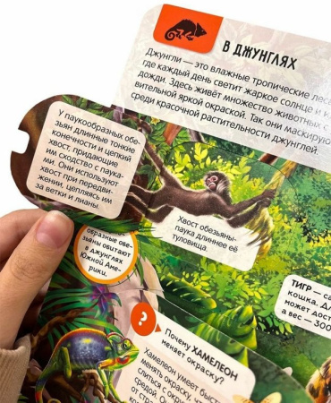 Энциклопедия 3+ "Животные" Malamalama