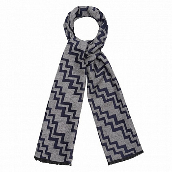 Шарф мужской Dr.Koffer 45*185см, 100% вискоза