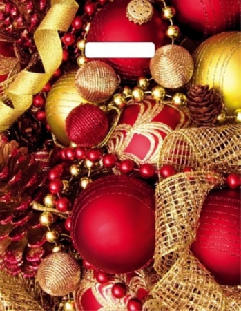 Пакет пробивной НГ 30*41см (60 мкм) "К празднику"