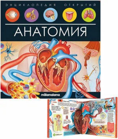 Энциклопедия 3+ "Анатомия" Malamalama