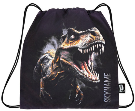 Сумка для обуви для мальчика 45*40 см SkyName "Динозавр"