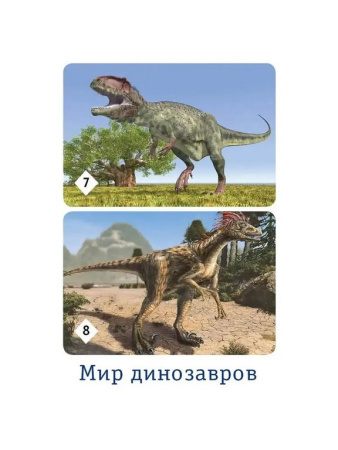 Игра настольная  Мемо "Мир динозавров" (5+) Нескучные игры
