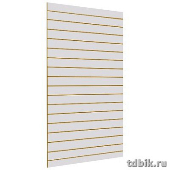 Экономпанель