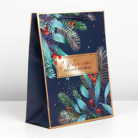 Пакет бумажный НГ 18*23см ламиниров. "Загадай желание"
