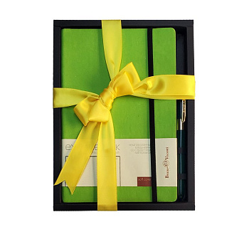 Набор подарочный BrunoVisconti "ZENITH" (САЛАТОВЫЙ ЕЖЕДНЕВНИК А5 + РУЧКА)