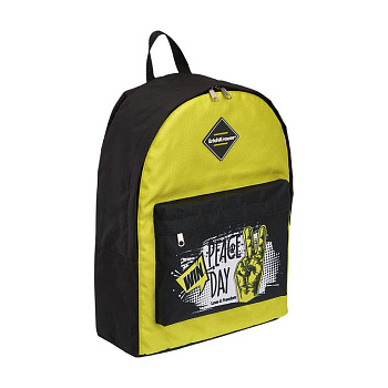 Рюкзак молодежный мужской ErichKrause EasyLine "Victory" 17 л., 39*29*13, салатовый