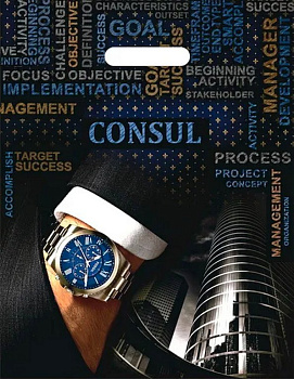 Пакет пробивной 31*40см (60 мкм) "Консул" ПВД