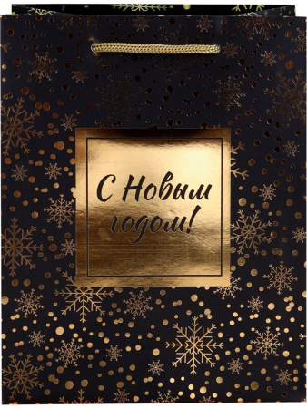 Пакет бумажный НГ 18*24см матовый "Золотистый снегопад"