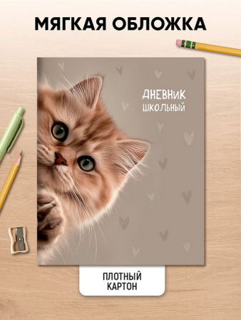 Дневник школьный мягкая обложка, на скобе "Забавный котик" 40л.
