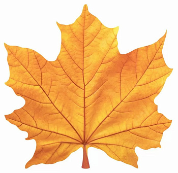 Наклейка оформительская на скотче осенняя  140*140мм "Кленовый лист" желтый