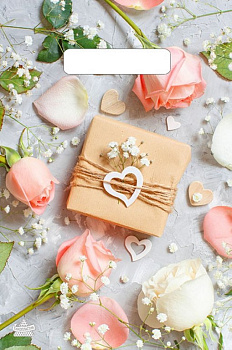 Пакет пробивной 20*30см "Подарочек"