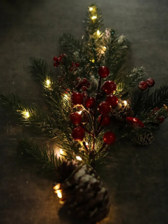 Гирлянда комнатная Нить  "Роса"  1,9 м, 20 теплых ламп, на батарейках (от 0 до +35 °С)