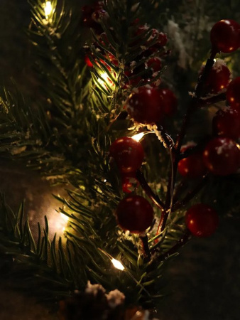 Гирлянда комнатная Нить  "Роса"  1,9 м, 20 теплых ламп, на батарейках (от 0 до +35 °С)