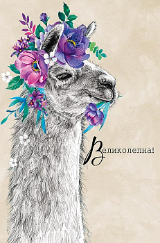 Открытка средняя  "Великолепна!" текст