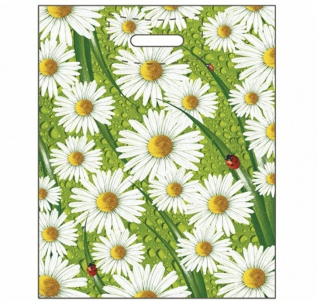 Пакет пробивной 38*47см (60 мкм) "Ромашки" ПВД