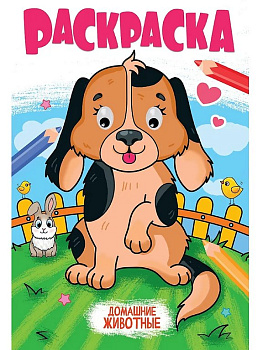 Раскраска с глазками А4 "Домашние животные" 16 стр. ПРОФ-пресс