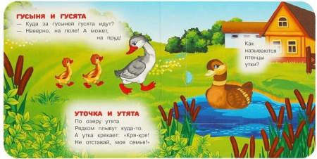 Книга картонная с окошками "Мамы и малыши" 12*12 см, УМка