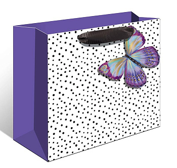 Пакет бумажный горизонтальный 23*21см ламинированный