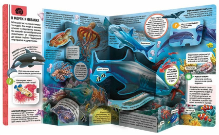 Энциклопедия 3+ "Животные" Malamalama