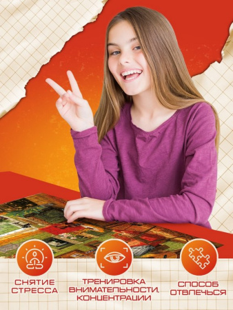 Пазлы  500 дет. "Советская комната" Puzzle Time 8+