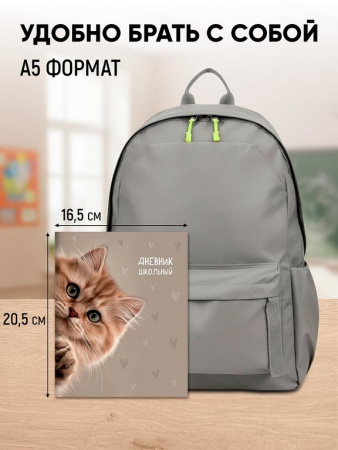 Дневник школьный мягкая обложка, на скобе "Забавный котик" 40л.