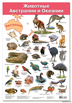 Плакат обучающий "Животные Австралии и Океании" А3