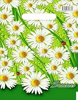 Пакет пробивной 20*30см (30 мкм) "Лето" ПВД