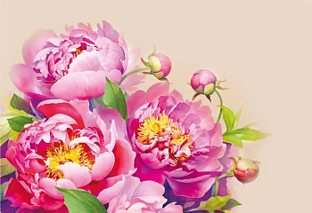 Конверт (для подарочного сертификата) без надписи 190*132 мм