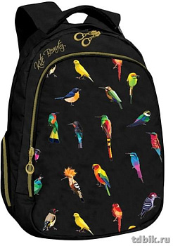 Рюкзак школьный для девочки Kite "Beauty" 44*30*16см черный