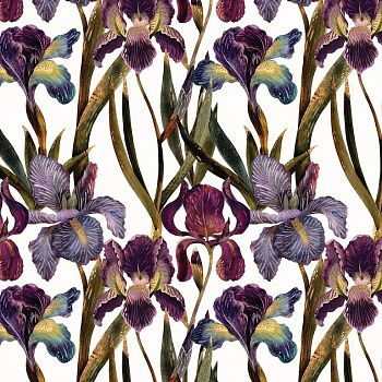 Бумага упаковочная 70*100см  в рулоне "Flora. Ирисы" BrunoVisconti
