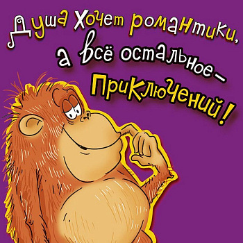 Магнит Позитивный "Душа хочет романтики..."