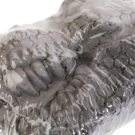 Раскопки "Череп динозавра Трицератопс" IQ Эксперимент