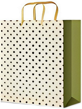 Пакет бумажный 18*23см ламинированный "Зелёные круги"