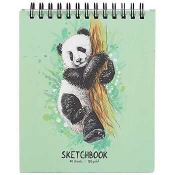 Скетчбук 105*148 мм, 40л. на спирали, тв. обл. "Панда" 120г/м