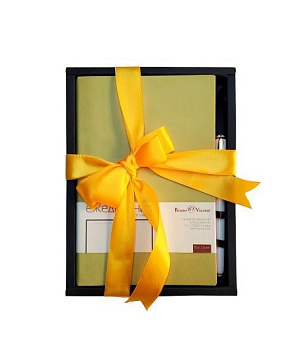 Набор подарочный BrunoVisconti "MERCURY" (ОЛИВКОВЫЙ ЕЖЕДНЕВНИК А5 + РУЧКА)