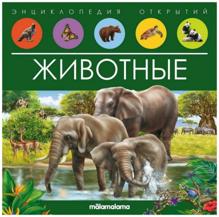 Энциклопедия 3+ "Животные" Malamalama