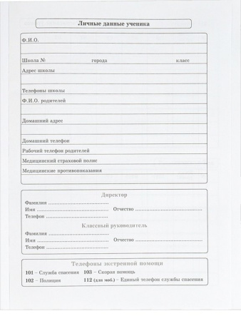 Дневник школьный мягкая обложка, на скобе "Темные граффити" 40л.
