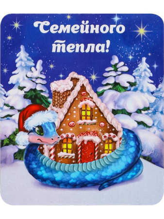 Символ 2025г Магнит "Новогодние змейки" 65,5*77 мм (ассорти)