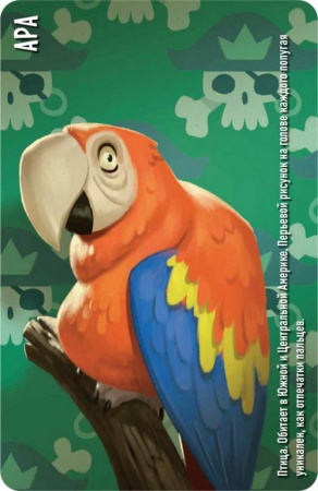 Игра настольная  .8+ с карточками "Similo: Зоопарк" (2+ игроков, 10+ мин)Hobby World