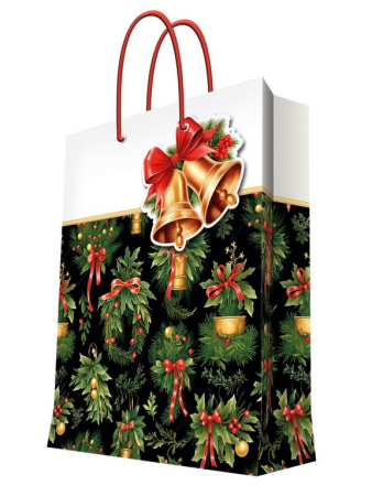 Пакет бумажный НГ 26*32см ламиниров. "Европейские каникулы"