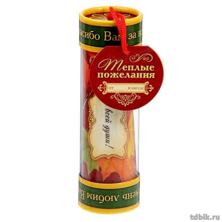 Капсула времени "Лучшему классному руководителю"