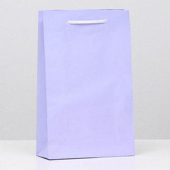 Пакет бумажный 16,5*26,5см ламинированный, сиреневый