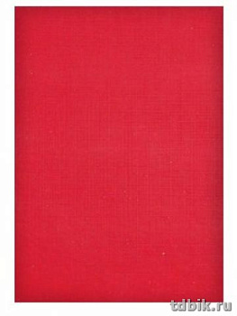 Папка адресная без тиснения обложка бумвинил, цвет красный