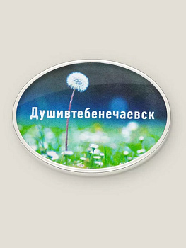 Магнит "Душивтебенечаевск" Бюро находок