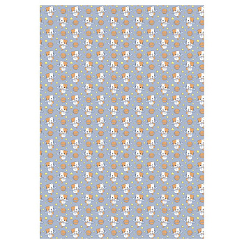 Бумага упаковочная 70*100см  в рулоне "Space kitten"