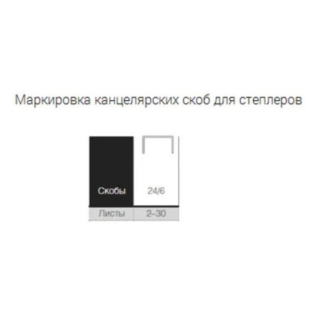 Скобы 24/6 Erich Krause 1000 шт/уп, оцинкованные, до 30 листов
