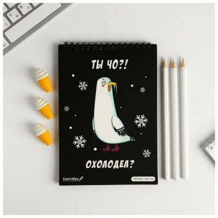 Набор подарочный  НГ "Пора валить на Юг" (скетчбук, фигурный ластик, карандаши)